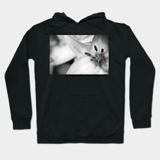 reaching out Hoodie